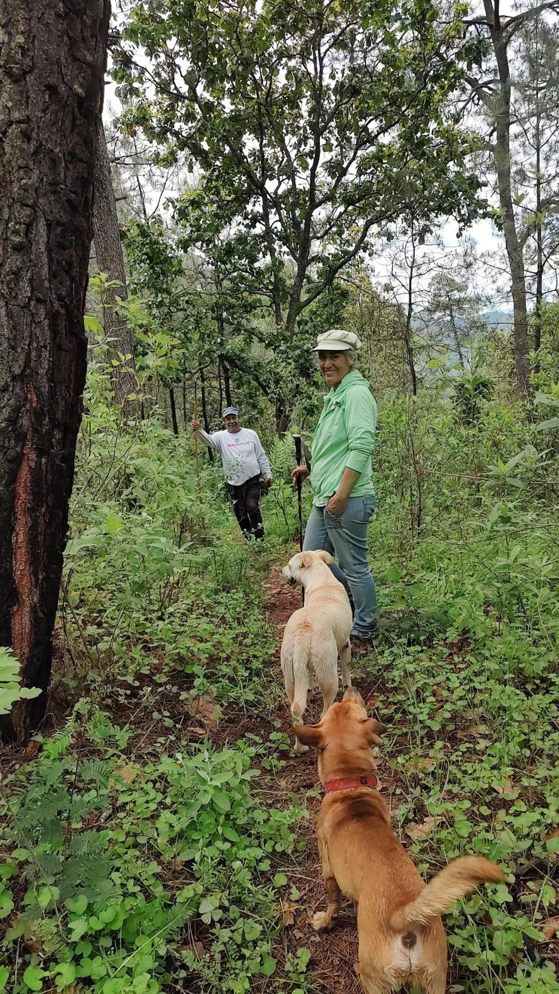 El Encinal De Las Flores Valle de Bravo Eksteriør billede