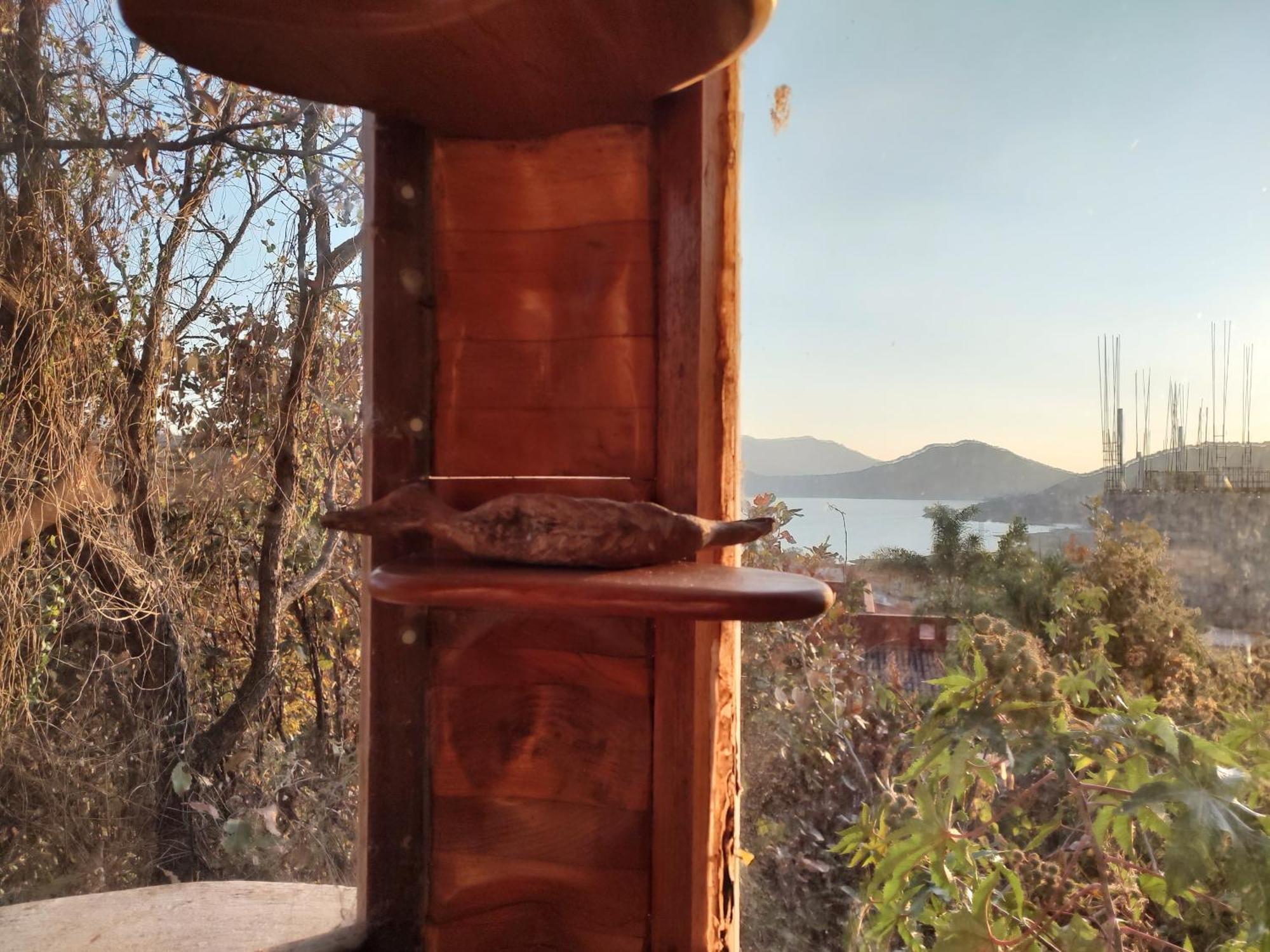 El Encinal De Las Flores Valle de Bravo Værelse billede